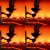 thumbnail img1x1