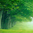 @landscapeworldy