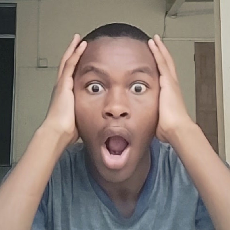 VIRAL CREATOR