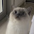 @huihui_happiness