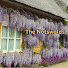 fvBNvwCqkBQ-channel-avatar-The Notswolds 