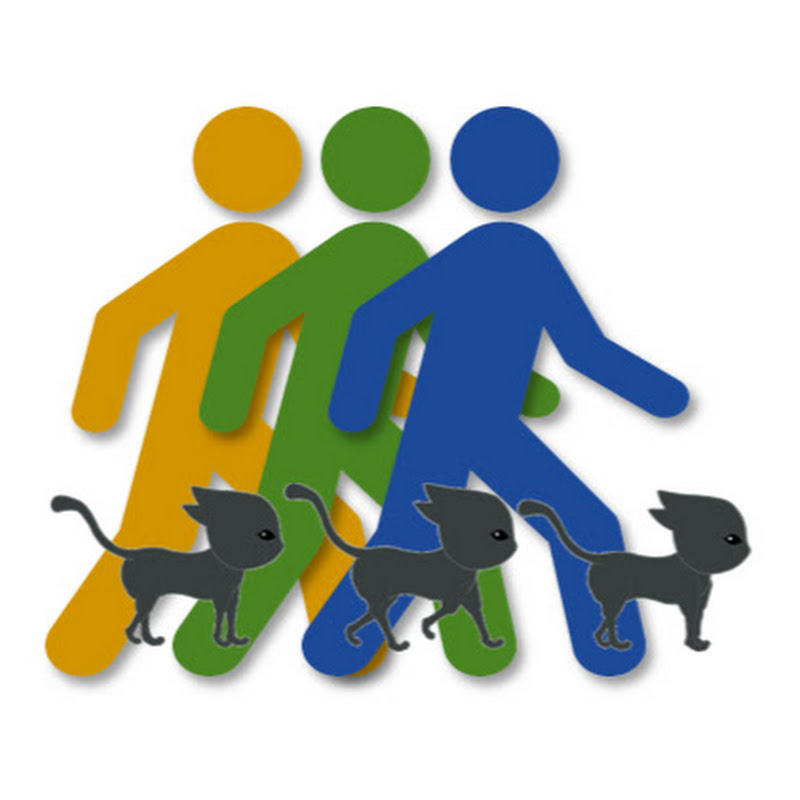 KimchiCom(Experience of Korean Culture and Travel)