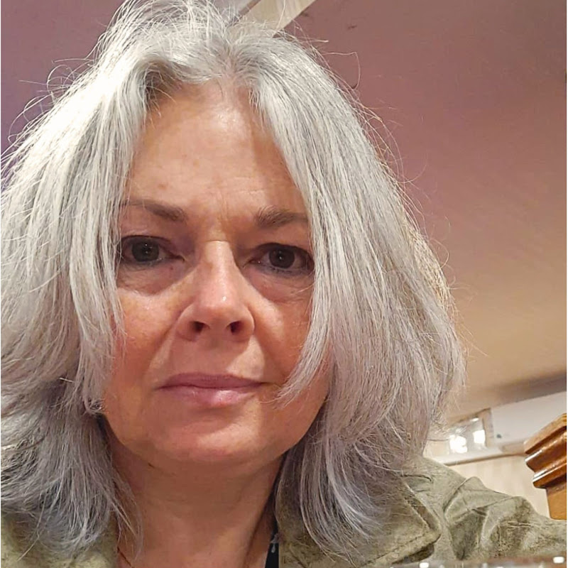 Alison Fennell (The Pottering Artist) icon