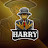 HARRY STRANGER 2.5M