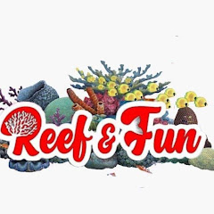 Reef And Fun - Aquarium Récifal net worth