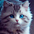 @AqsaBashir-i4c