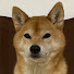 M0Qnv4_LRqA-channel-avatar-こつだこつお