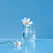 chamilaniroshani9904