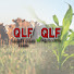 WvVJfZeNUFc-channel-avatar-QualityLiquidFeeds