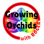 Growing Orchids with Roger channel logo
