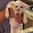 @NotAGerman's avatar