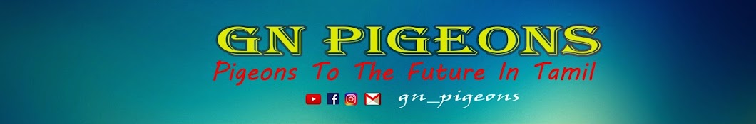 GN Pigeons Avatar de chaîne YouTube