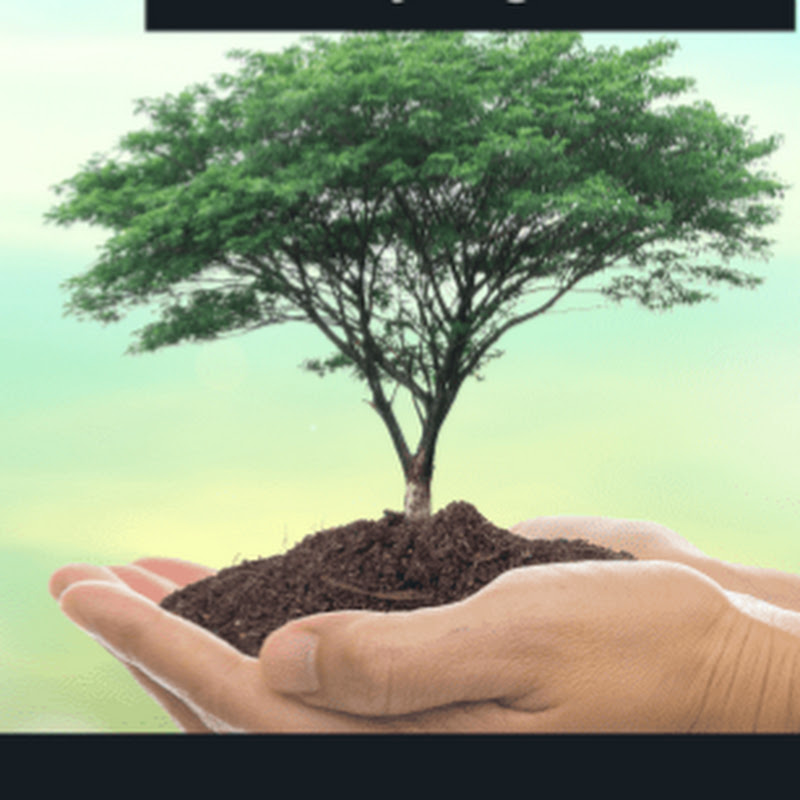 My Channel of Testimony