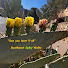 kknz-umtW_k-channel-avatar-Southwest Spiky Walks
