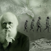 Evolve and Grow
