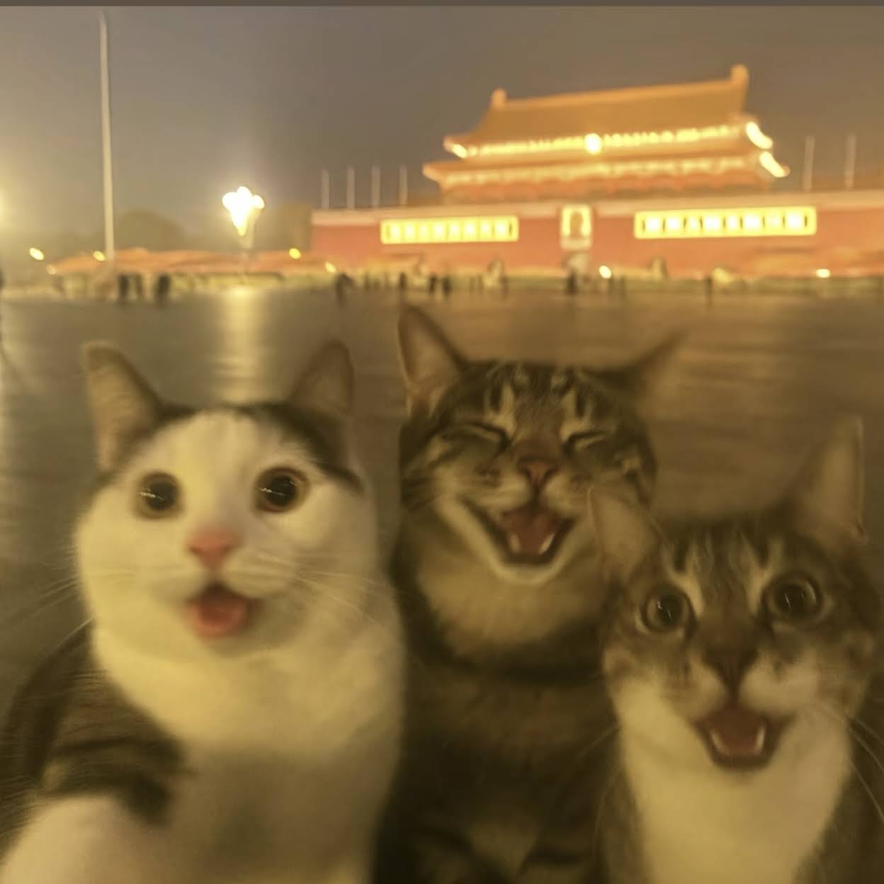 Post from Catherine Ren