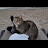 @귀염둥이-c5h