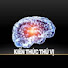 uIhAaiaTmUo-channel-avatar-KIẾN THỨC THÚ VỊ Official