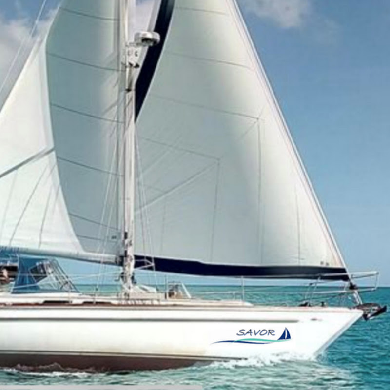 sailingseafox