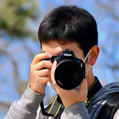 鉄チャン新潟【TRAIN ch】