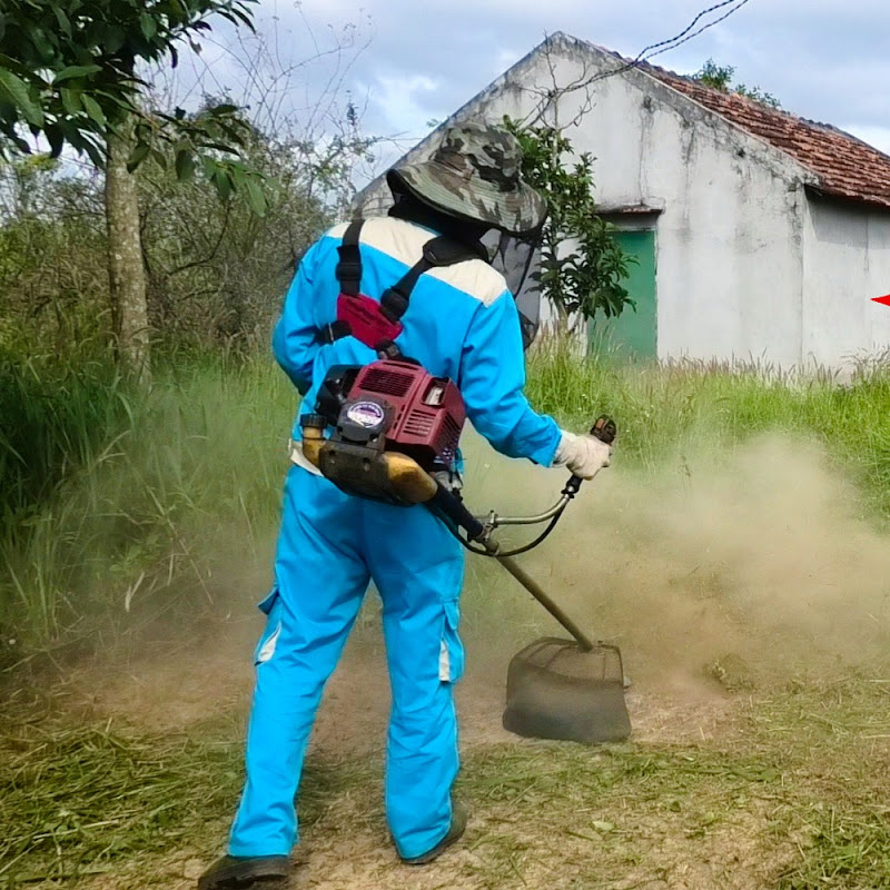 Clean Up Abandoned House