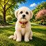 2tc37MvtfJI-channel-avatar-Quiz Bolt