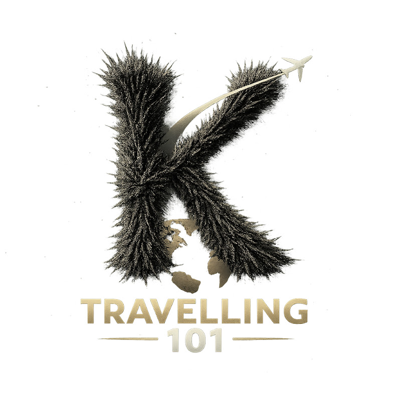 TRAVELING 101