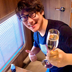 RoryDing Travels net worth