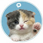 Love Cat Memo