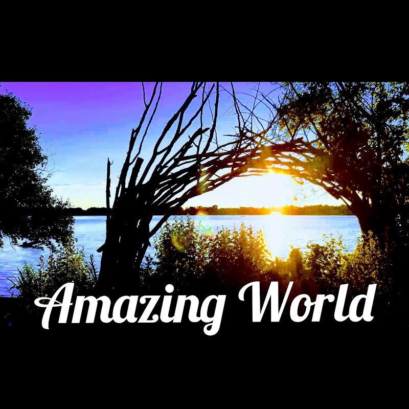 Amazing World