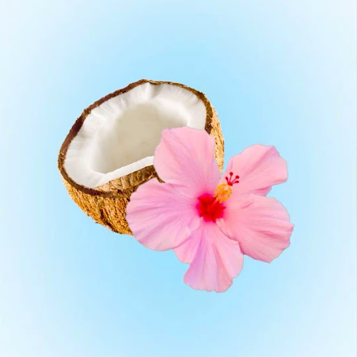 チャンネル画像