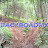 Backroadmx