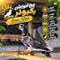 h7LALh26GnQ-channel-avatar-Bam Aftab
