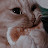 @longg2101's avatar