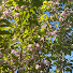 9N8ll0bZoUs-channel-avatar-Beautiful_Berry