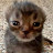 @Mrcatt8am