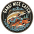fPb5pCnfLJE-channel-avatar-Dang! Nice Catch