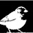 @oregonbird