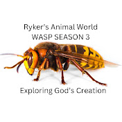 Rykers Animal World