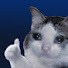 is1wEpevwXg-channel-avatar-Lost in the Blue 