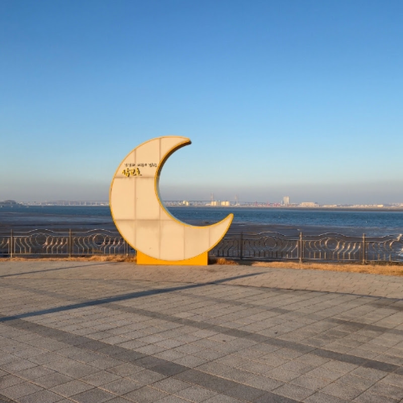 강아지AI쇼츠 초보