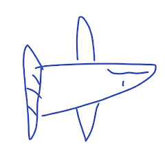 かけか