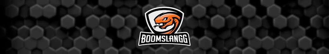 Boomslangg YouTube kanalı avatarı