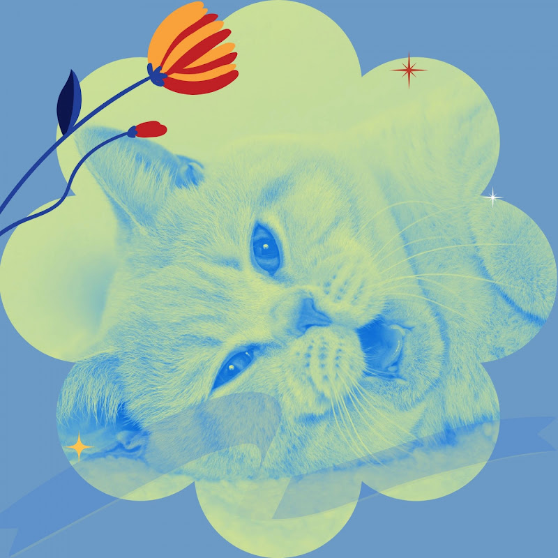 Calming Music for Cats - Topic avatar