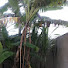fM8oipbV_ss-channel-avatar-Atalaia rural Sergipe.