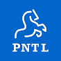 Pentium Network Technology Ltd. | PNTL logo