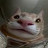 @username_4565