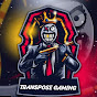 TRANSPOSE GAMING logo