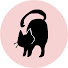 cvDVy5h2w9g-channel-avatar-ねこやなぎタロット
