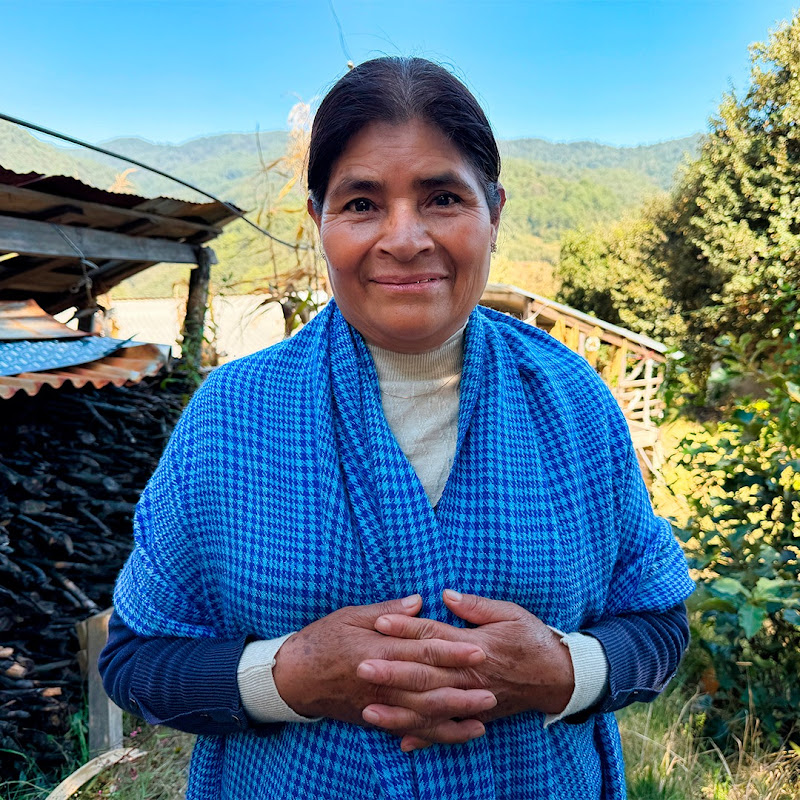 Las Curiosidades de Marcelina